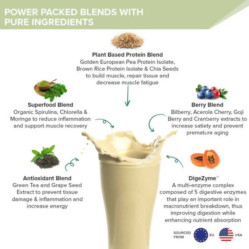 Wellbeing Nutrition Superfood Plant Protein Isolate - British Banoffee Pie - Distacart