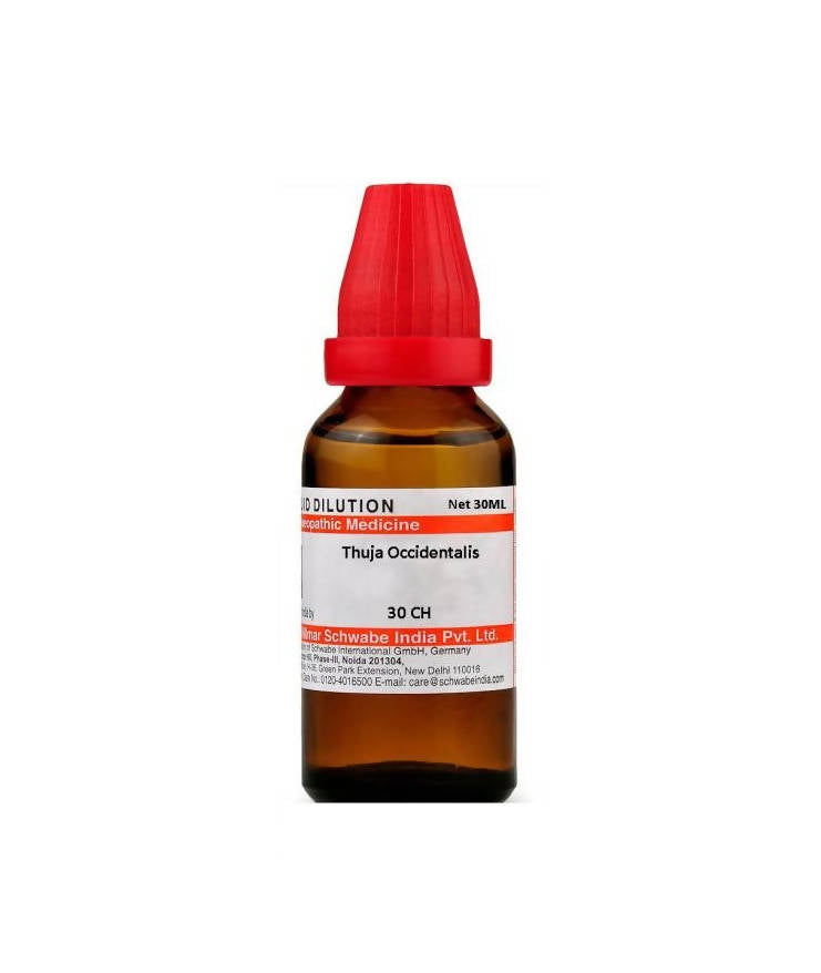 Dr. Willmar Schwabe India Thuja Occidentalis Dilution - Distacart