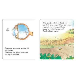Jolly Scholars Physical Well Being Story Books Set of 8| Promote Physical Health Activity Books Ages 3-6 Years - Distacart